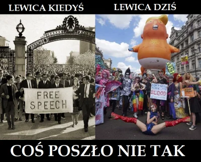 wojna_idei - Lewica jako jeden z głosów polityczny wskazujący na przeterminowane elem...