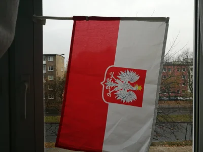 dzieju41 - U mnie patriotycznie.
#swietoniepodleglosci #11listopada #polska