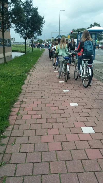 Gregorius123 - #holandia rowerowy korek w drodze do pracy xD #dziendobry