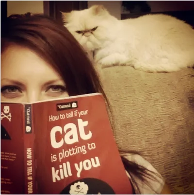 b.....a - Z tymi kotami to nigdy nic nie wiadomo...



#koty #kot #kotysadziwne