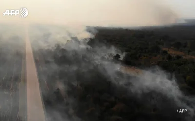 W4f3l3k - Co najmniej 750.000 hektarów lasów i pól uprawnych spłonęło na terenie Boli...