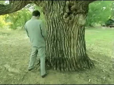 PozytywistycznaMetamorfoza - Borat okazuje szacunek najstarszemu drzewu w US i A :D