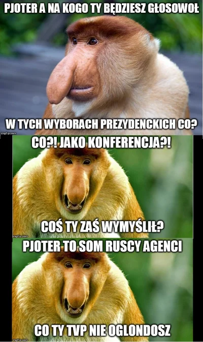 Nirin - Trochę głupie, trochę śmieszne, trochę smutne :|
#humorobrazkowy #memy #poli...