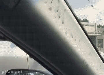 F.....x - #gif #auto #smiesznypiesek #heheszki Zimny łokieć ( ͡° ͜ʖ ͡°)