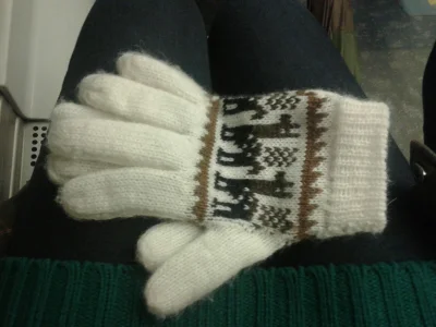 Sztandarynka - @bylejaki: dostałam rękawiczki po ostatnim rozdajo. Są baaardzo ciepłe...