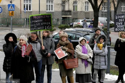 Kwapiszon - Wysłać tam lewicowe oszołomstwo.Bronili już kornika, bronili dzika, to bę...