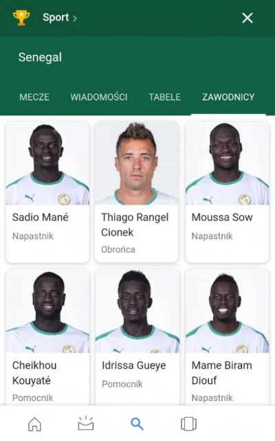 janmatejkopisarz - Skład Senegalu na Japonię
#mecz #heheszki
