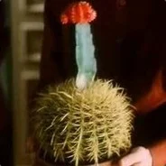 Trismagist - @shawn01: Mogłeś jej dać ten bezcenny argentyński kaktus w rozliczeniu.