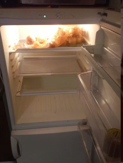Pippo - Czegoś mi brakuje w lodówce?

#heheszki 

#polakicebulaki

#pokazlodowke