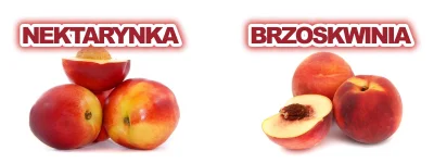 0.....2 - Nektarynka czy brzoskwinia? Głosujemy.
#nektarynki #brzoskwinie #owoce #go...