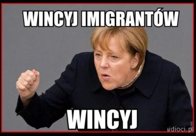 visez - Wymarzony elektorat lewicy