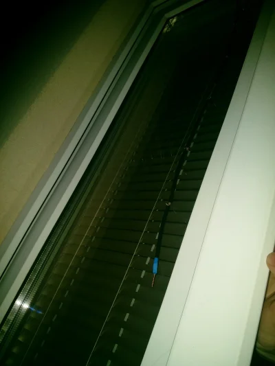 zezward - @czarnyizly: wisi sobie na uchylonym oknie