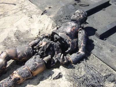 nom_om - Zawsze mi było go szkoda w #mythbusters xD

#oswiadczeniezdupy #discovery ...