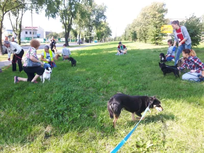 burdelWbani - Mireczki razem z moim różowym od kilku miesięcy zasuwamy co sobotę do s...