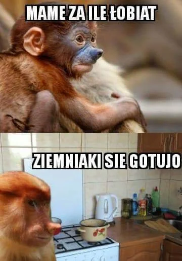 Brakus - #humorobrazkowy
#nosaczsundajski
#polskiedomy