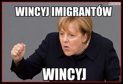 johny11palcow - Na problemy z islamskimi imigrantami, którzy niemalże zawsze nie chcą...