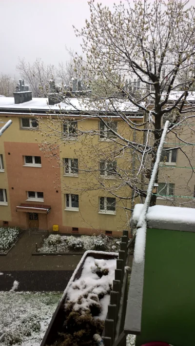 O.....o - Jak tam u Was śnieg. Zmalał urus? #krakow #pogoda