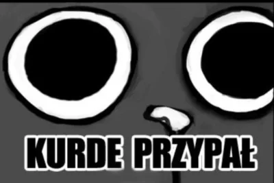 scipiur - @piczu (⌐ ͡■ ͜ʖ ͡■)