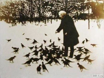 iwarsawgirl - Rzadkie zdjęcie przedstawiające kobietę karmiącą gołębie w Czarnobylu 
...