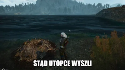 RezolutnyPasikonik - #wiedzmin #wiedzmin3 #heheszki #humorobrazkowy