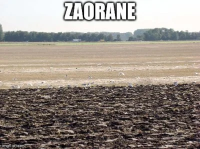 Zaratusztra