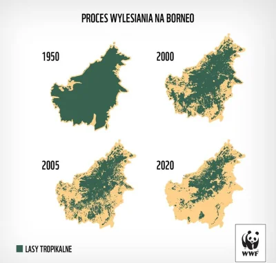 mimbin - WWF Polska: W ciągu ostatnich 70 lat z Borneo zniknęła ponad połowa drzew. 
...