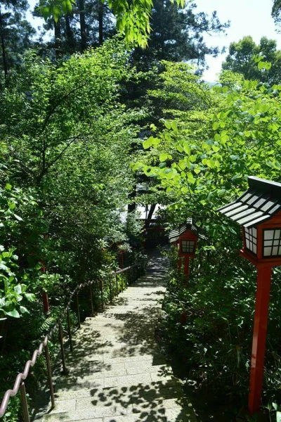 Hake - #fotografia #japonia