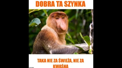 PeaK - #heheszki #humorobrazkowy #nosaczsundajski #polak #janusze