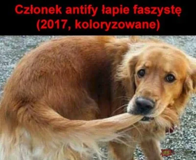 MarkZark - @RECAPTCHASSIE: Yhm i doskonale im się to udaje: