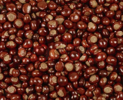 i.....o - @Vegonator: który?