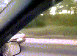 MiroslawWypok - #heheszki #gif #nsfl