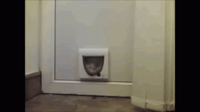 likk - http://i.imgur.com/ucxUyHg.gifv

https://gfycat.com/SelfishForcefulAttwaters...