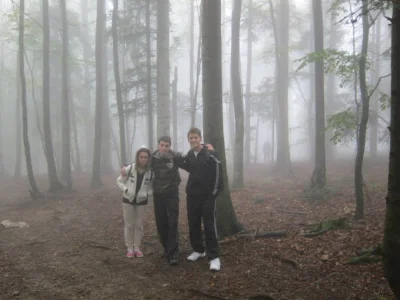 t.....p - Poranny spacer po lesie. Trochę mgławo i do tego towarzyszyło nam jakiś tak...
