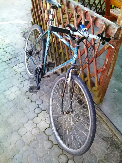 mateoelo - #pokazrower #maskotka #rower 
Elo mirki z cyklu pokaz rower moje cacuszko ...