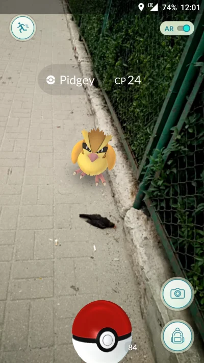 kedae - Idę do biedro a tu pidgey xD 
Rest in pepperoni
#pokemongo #czarnyhumor