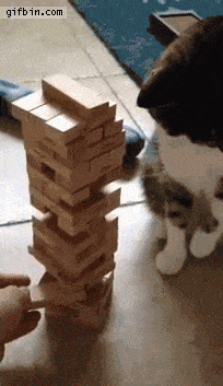 b.....9 - #koty #kot #gif #jenga #kotygrajowgry