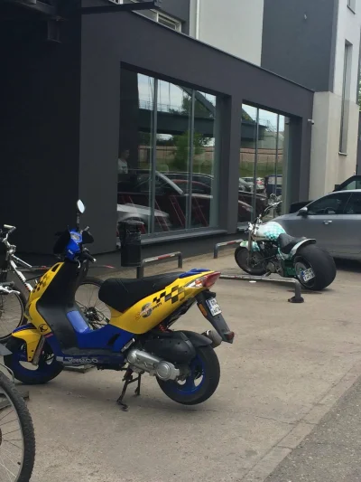 szczamdozlewu - Lechia Gdańsk vs. Arka Gdynia na poziomie motoryzacyjnym xDDDD i tak ...