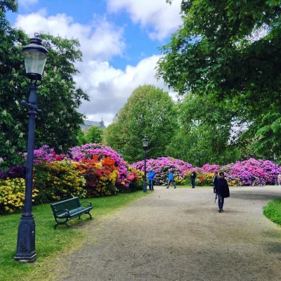 mlohnrob - Djurgården, park w Sztokholmie.

#szwecja #przyroda #ciekawostki