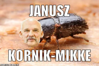 S.....o - Lepiej nie bo jeszcze przesiąknie