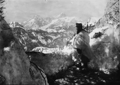 myrmekochoria - Austro - Węgierski wartownik w Alpach, maj 1917 rok

#starszezwoje ...