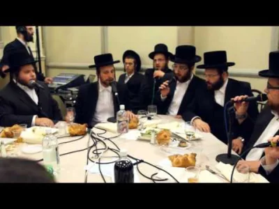 TheSjz3 - #shirachoir