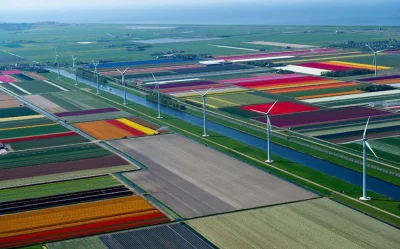 flager - #fotografia #earthporn #kwiatyboners
Pola tulipanów gdzieś w Holandii.