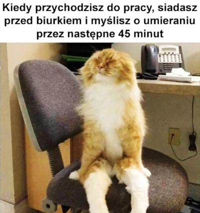 Efilnikufesin - Miłego dnia Mirki

#pracbaza #dziendobry #humorobrazkowy #heheszki