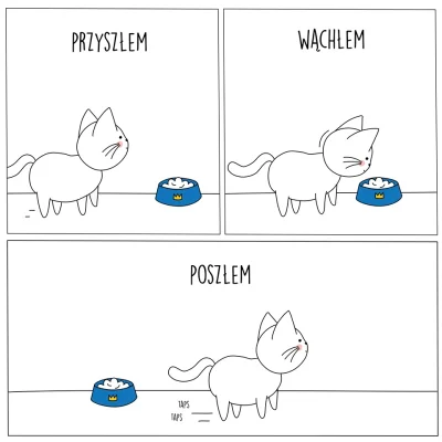 sweetbunny - Za każdym razem ( ͡° ʖ̯ ͡°)

#koty #codziennekitku #humorobrazkowy