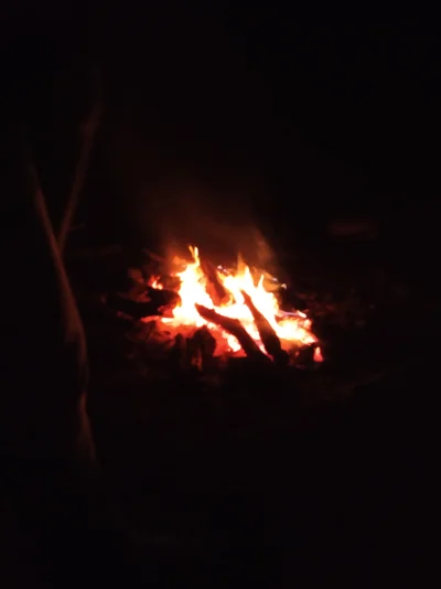 takitamowoc - Płonie ognisko w lesie 
#ognisko #łogiń