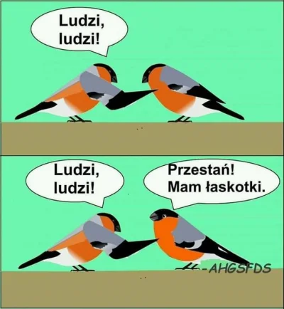 laaalaaa - #humorobrazkowy #ptaki