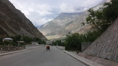 mpetrumnigrum - Na obrzeżach tej wioski w Tadżykistanie zatrzymała nas policja.
Jech...