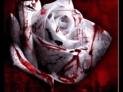 Karolynn - Within Temptation - Murder
(Album: The Unforgiving - 2011)
#muzyka #pios...