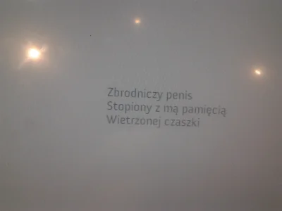 InnocentAndVain - Centrum Nauki Kopernik- robot generujący haiku z podanym słowem ( ͡...