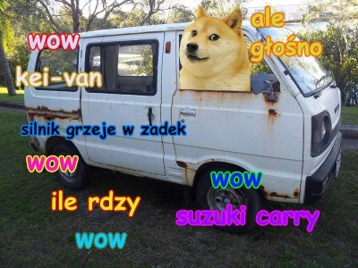 V.....L - #doge #zlomnik